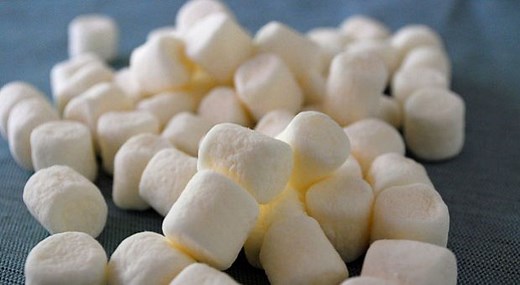 Walter Mischel: "The Marshmallow Test: Mastering Self-Control"