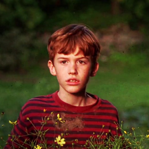 The Cure: A Tribute to Brad Renfro's Legacy
