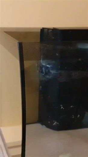🦞 60 or 120 liters? 🤔 WHAT VOLUME FOR A PAIR OF CHERAX CRAYFISH? 🦞 #terrarium #aquarium #fish