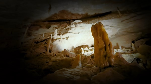 The hidden world of cave biogeography