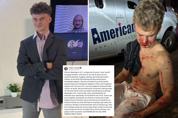 Ex-DOGE staffer nicknamed ‘Big Balls’ left bloodied after savage DC carjacking attempt by 10 juveniles