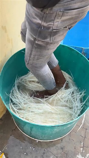 Feather Cleaning and Sorting Process Explained