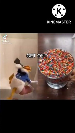 Donald Duck Scream