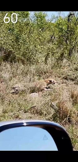 78K views · 378 reactions | Batres Jose on Reels | Facebook