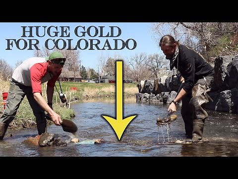 Gold Prospecting in Colorado - Giant Gold Found in Town! Lower Ralston Creek - Arvada, Colorado