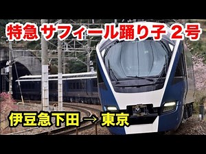 【全車グリーン車】特急サフィール踊り子2号に乗った！伊豆急下田→東京