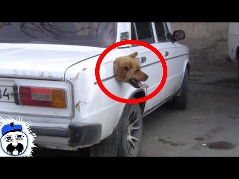 15 Real Life Glitches Caught On Camera