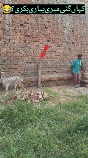 HILARIOUS😂 YouTube Shorts to Make You LAUGH OUT LOUD!