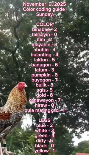 November 9,2025 color coding guide