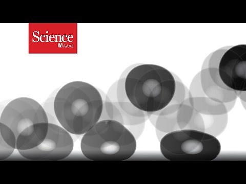 Water droplets leap spontaneously into the air