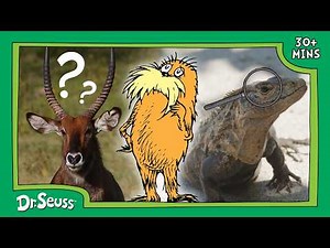 Learn and Test Your Animal Knowledge With The Lorax! | The Lorax Nature Keepers Club | Dr. Seuss