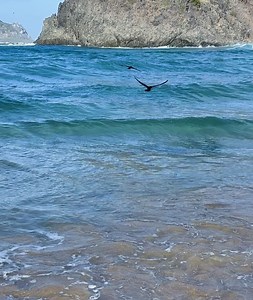 Alessandra Ambrosio on Reels