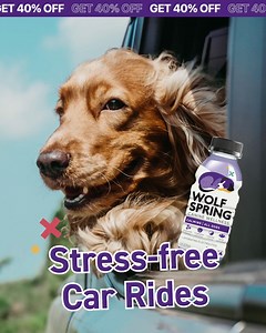 147 reactions · 29 shares | If your dog has anxiety, you NEED to try Wolf Spring!  Made in the USA 喙 Vet-Developed ⚡ Proven Effective  100% Natural and Plant-Based | Wolf Spring | Facebook