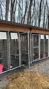 Today, our hearts are absolutely full. Because of YOU, every single outdoor kennel at the Rhea County Animal Shelter is COMPLETELY EMPTY. Not one dog left outside. Every animal is now either in a warm, loving foster home or safe inside a heated kennel. Our staff is in literal tears seeing this. The outpouring of love, compassion, and support from this community has been overwhelming in the best way possible. We are beyond thankful for a community that supports our mission and cares for these ani