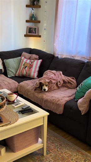 Beagle Puppy Loved Snuggling in Her Favorite Spot