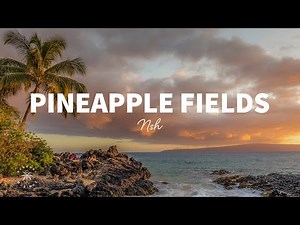 NSH - Pineapple Fields (Lyrics)