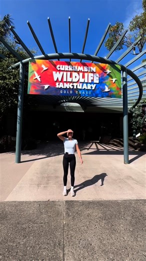 Everything you need to know about climbing at our Currumbin TreeTop...