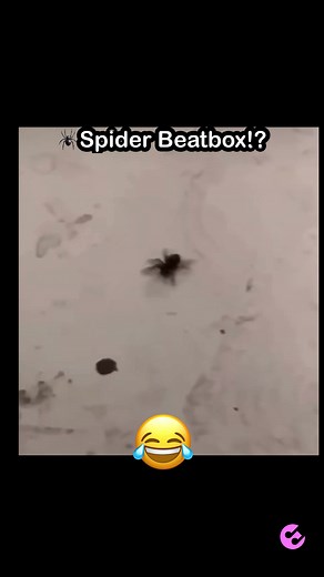 😂🕷️Spider Beatbox - Beatboxing Meme Compilation