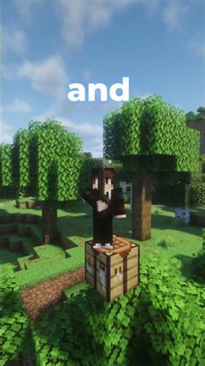 All servers are boring... #minecraft