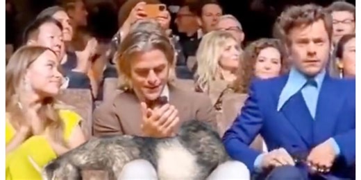 Harry Styles throwing a goat at Chris Pine is the best meme about 'spit gate'