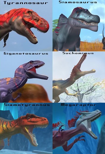 TikTok - Make Your Day