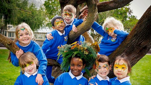 National Tree Day: Get facts and a free Scots Pine for schools