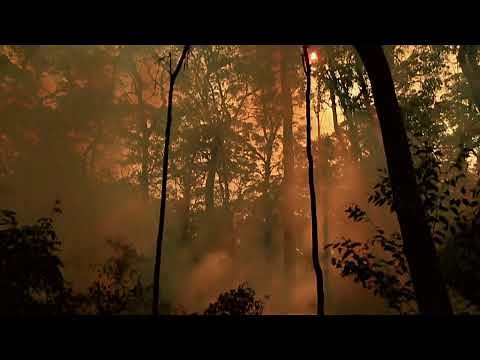 Autumn Fuel Reduction Burn 2025