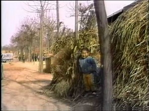 PBS 中國：一個世紀的革命 (中文字幕) PBS China A Century of Revolution 3 Born Under The Red Flag 1976 1997
