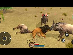 The Lion King is a man and animal hunt in the jungle || Full Lion King Walkthrough