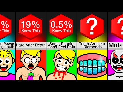 Comparison: I Bet You Didn't Know These Facts About Humans!