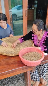 1.7K views | Sorting is one of the most important steps in protecting...