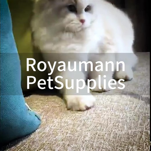 Custom Self-cleaning Reusable Chom Pet Hair Remover Rollers Brush Dog Hair Brush Cat Pet Hair Remover Reusable Lint Roller Brush