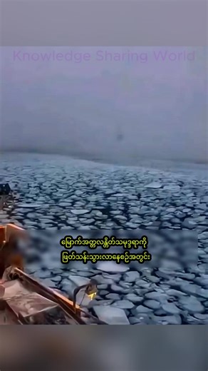 #knowledgesharing #knowledgesharingworld #knowledge #ocean #ice