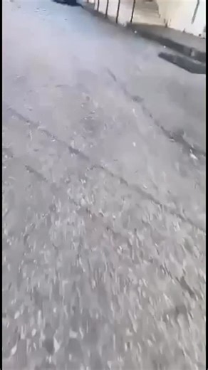 @tessaron_news_3 on Instagram: "At approximately 0200 EST on December 26th, 2025, at least 8 people were killed and 18 others were injured in a deadly cultural enrichment explosion at the Imam Ali Mosque in the Wadi Al-Thahab neighborhood of Homs, Syria, during Friday prayers. Initial assessments by Syrian authorities indicate the incident was a coordinated suicide-style attack involving multiple improvised explosive devices detonated inside the mosque, with debris scattered across the prayer ha