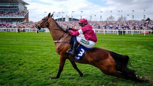 Grand National jockey explained reason for forcing injured horse to finish race before dying