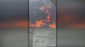 Motorists watch as fire rages near road and shopping centre in Forster