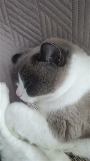 szkoła przed tobą zwolnij