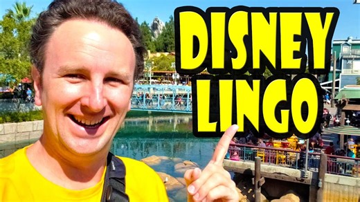 Unlocking Disneyland’s secret code: 25 insider phrases explained
