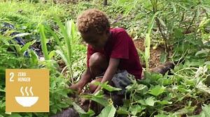 26 reactions · 11 shares | Susan and her family’s crops are at risk as the sea level rise in Papua New Guinea affects the amount of salt in the soil. See how advancing the 17 UN Global Goals for Sustainable Development would make a real improvement in their lives: | UN Climate Change | Facebook