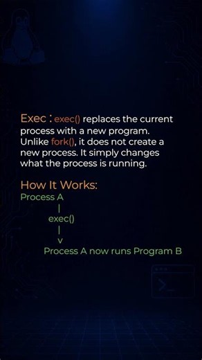 Linux Process Model Explained | fork(), exec(), Signals & /proc