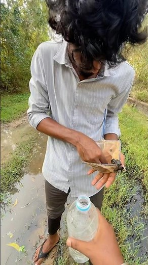 🐊😀பெரிய வேட்டைக்கு போறோம் | Rolex gar