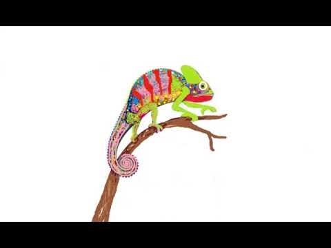 How to draw reptiles 🦎