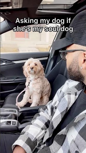 Asking My Dog if She’s My Soul Dog 🥺