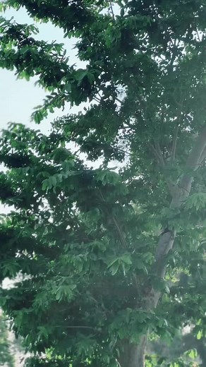 فيديوهات أنشأها ⸄⸅𝑀𝑜7𝑎𝑚𝑒𝑑 𝐸𝑚𝑏𝑎𝑏𝑦⸅ (@mohamed.embaby_7) باستخدام الصوت الأصلي - ⸄⸅𝑀𝑜7𝑎𝑚𝑒𝑑 𝐸𝑚𝑏𝑎𝑏𝑦⸅