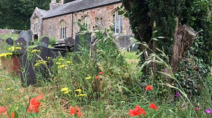 Eco-Church - Diocese St. Asaph