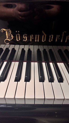 Get ready for goosebumps! 😱 The low octaves on a Bösendorfer Imperial are pure magic! ✨ #Bösendorfer #PianoLove #LowNotes #PianoTuningPerfection #GrandPianoEnvy #UNCC #UNCCharlotte #UniversityLife #reelvibes #piano #viralreels | A 440 Piano Service