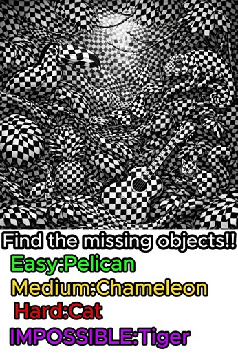 Can you find the different animals????