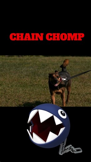 chain chomp #nintendo #supermario #gaming #savageconstructs