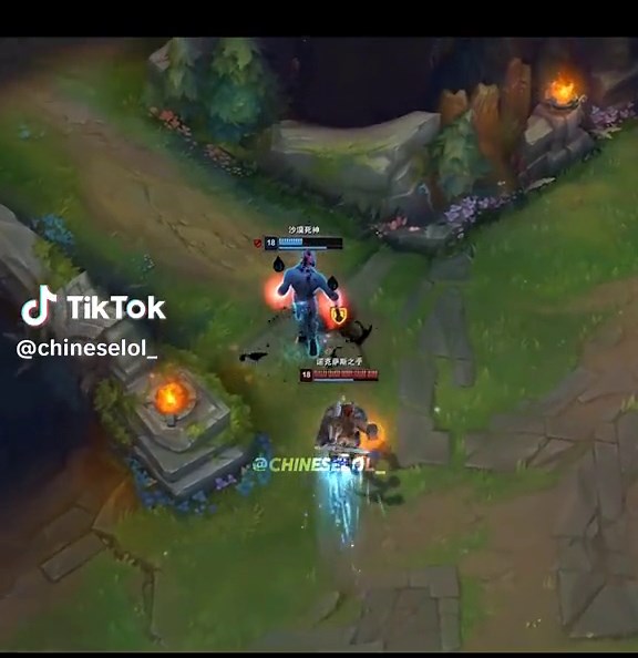 Nasus 🗣️🔥🗿 #leagueoflegend #leagueoflegends #leaguetok #leaguetiktok #riotgames #fyp #foryou #viral #lolclips #lolhighlights #nasus