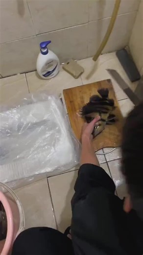 Tiger Fish Care Tips for Aquarists